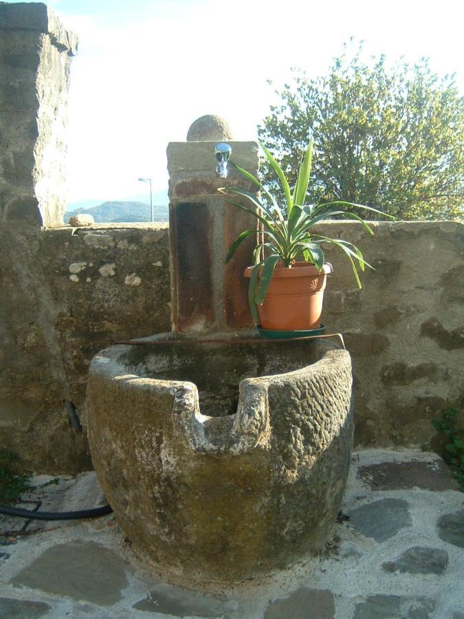 Il Casale Di Rolando Appartement Castiglione di Garfagnana Buitenkant foto