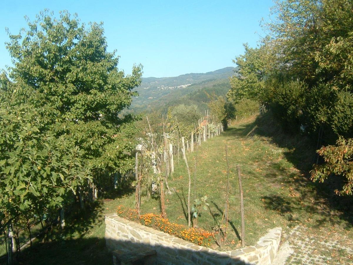 Il Casale Di Rolando Appartement Castiglione di Garfagnana Buitenkant foto
