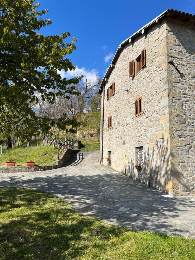 Il Casale Di Rolando Appartement Castiglione di Garfagnana Buitenkant foto