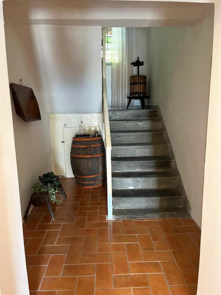 Il Casale Di Rolando Appartement Castiglione di Garfagnana Buitenkant foto
